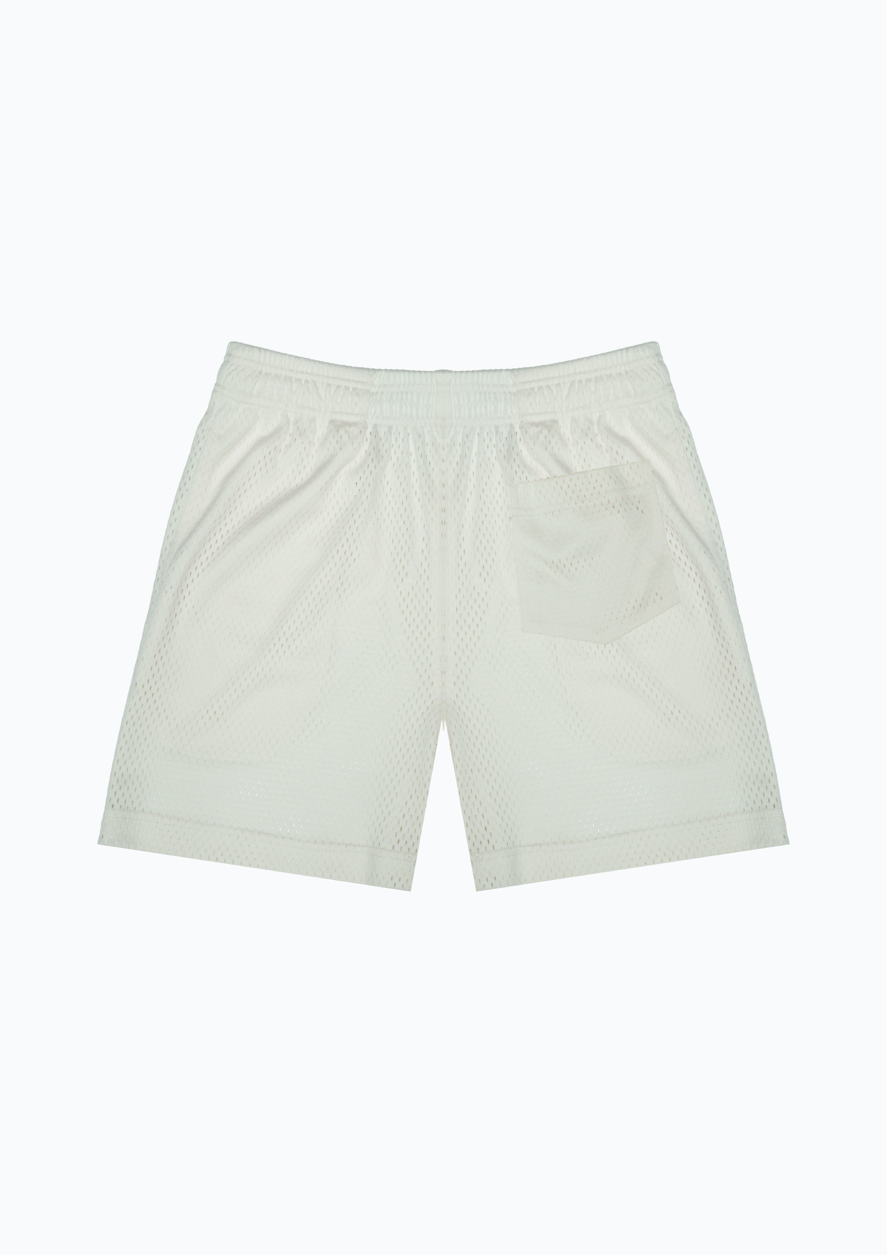 SEAGULL MESH SHORTS – N.C. The Label